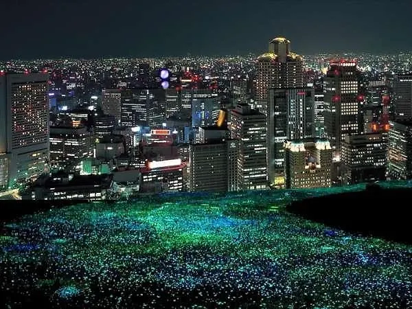 Hotel Cordia Osaka